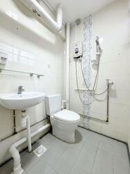 Blk 244 Hougang Heights (Hougang), HDB 4 Rooms #632989411